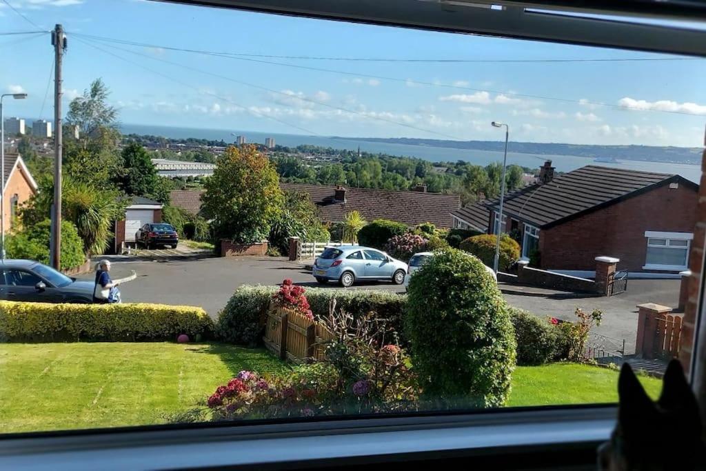 Bellevue Bungalow - Comfortable Home With Amazing Views Belfast Kültér fotó