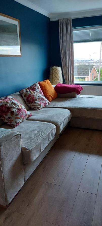 Bellevue Bungalow - Comfortable Home With Amazing Views Belfast Kültér fotó