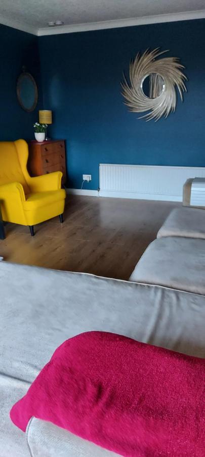 Bellevue Bungalow - Comfortable Home With Amazing Views Belfast Kültér fotó