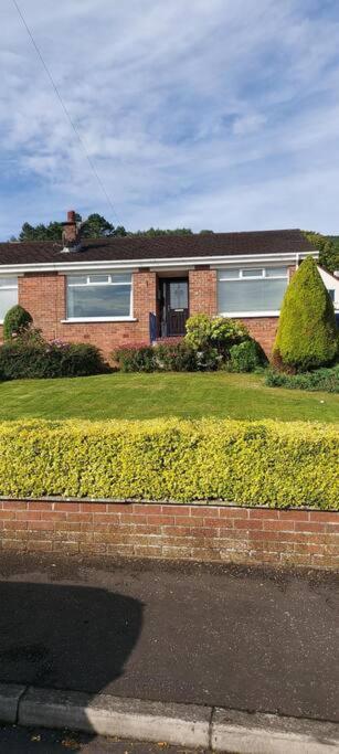 Bellevue Bungalow - Comfortable Home With Amazing Views Belfast Kültér fotó